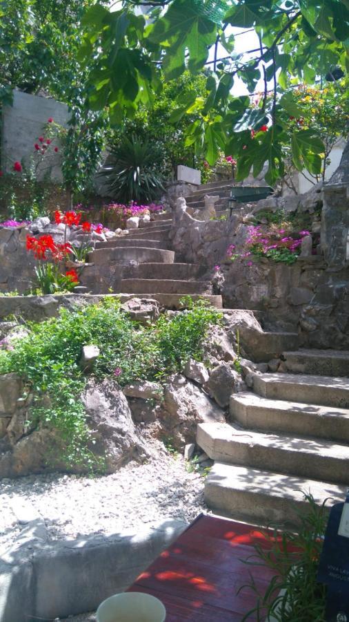 Villa Angel โตรกีร์ ภายนอก รูปภาพ